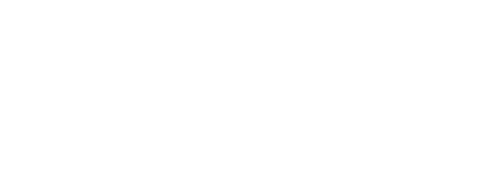 Elev8